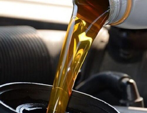 Motor Yağı Değişim İzin Belgesi